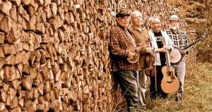 STP_sepia_woodpile_10_17_2013